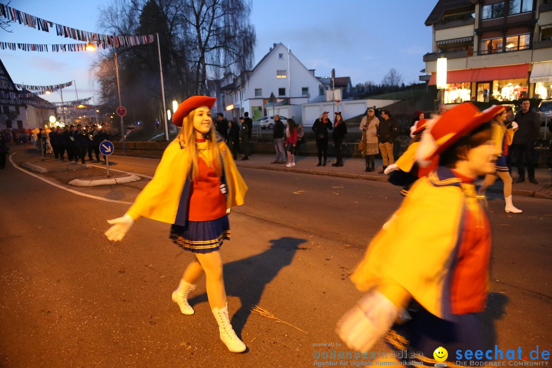 40 Jahre Urviecherzunft - Umzug: Bad Duerrheim, 16.02.2019