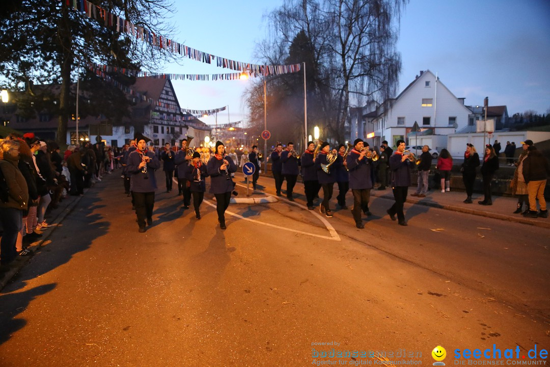 40 Jahre Urviecherzunft - Umzug: Bad Duerrheim, 16.02.2019