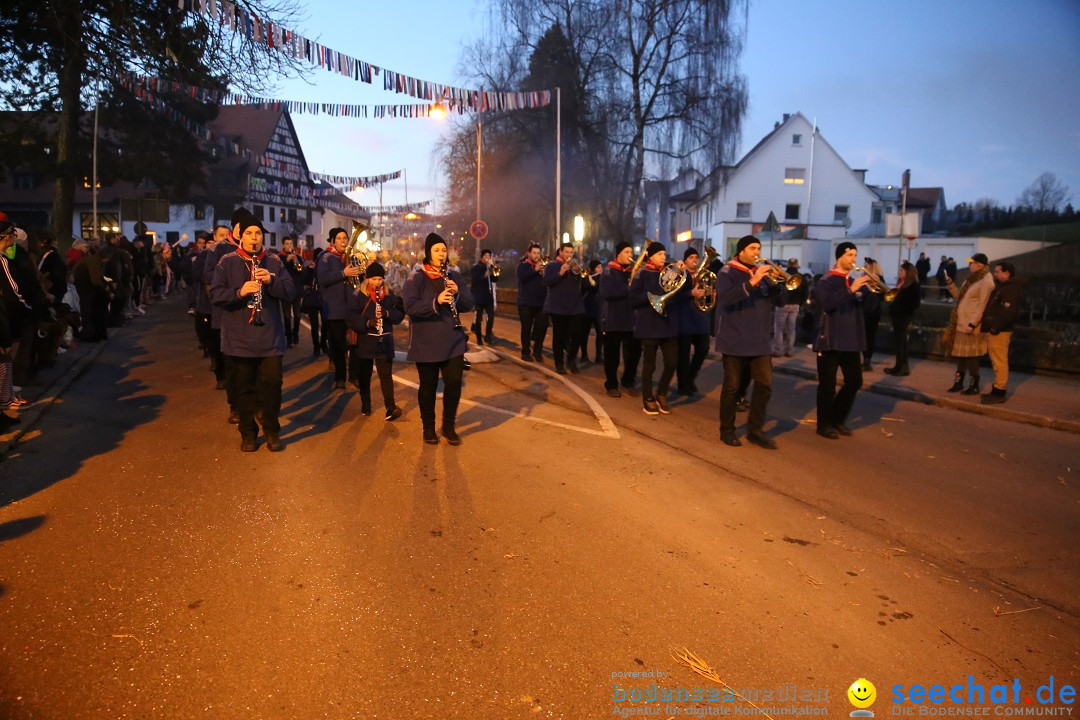 40 Jahre Urviecherzunft - Umzug: Bad Duerrheim, 16.02.2019