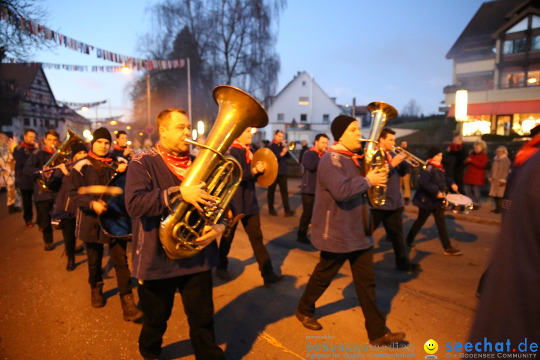 40 Jahre Urviecherzunft - Umzug: Bad Duerrheim, 16.02.2019