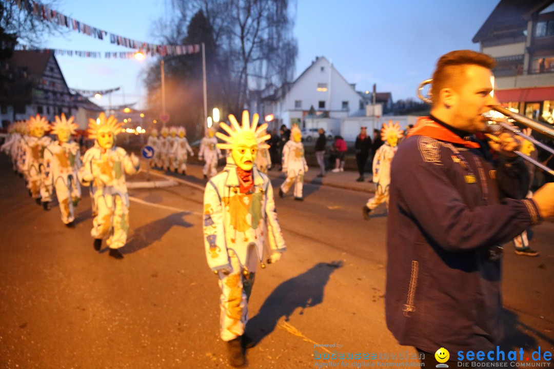 40 Jahre Urviecherzunft - Umzug: Bad Duerrheim, 16.02.2019