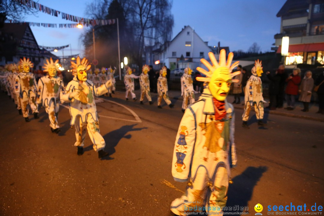 40 Jahre Urviecherzunft - Umzug: Bad Duerrheim, 16.02.2019