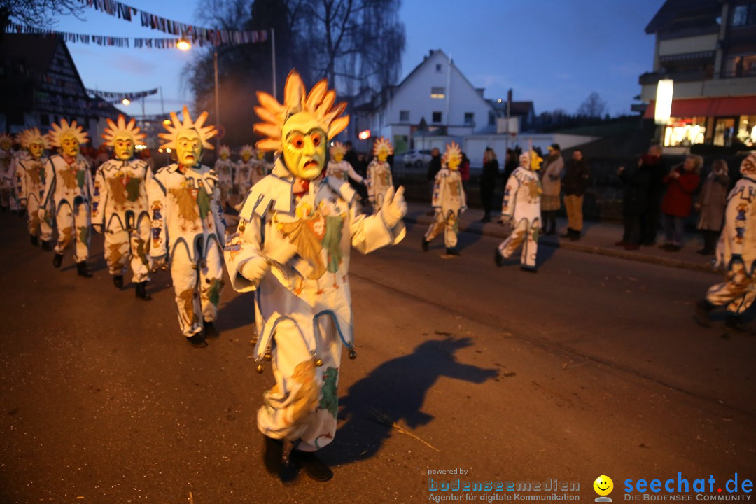 40 Jahre Urviecherzunft - Umzug: Bad Duerrheim, 16.02.2019