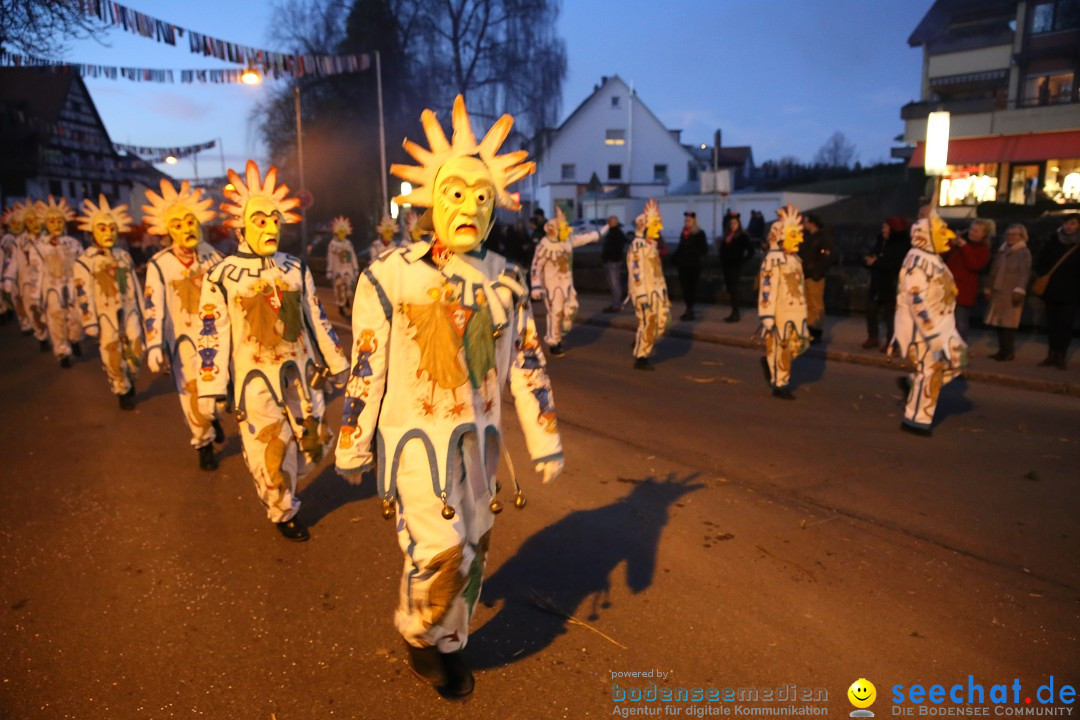 40 Jahre Urviecherzunft - Umzug: Bad Duerrheim, 16.02.2019