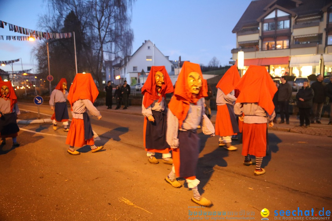 40 Jahre Urviecherzunft - Umzug: Bad Duerrheim, 16.02.2019