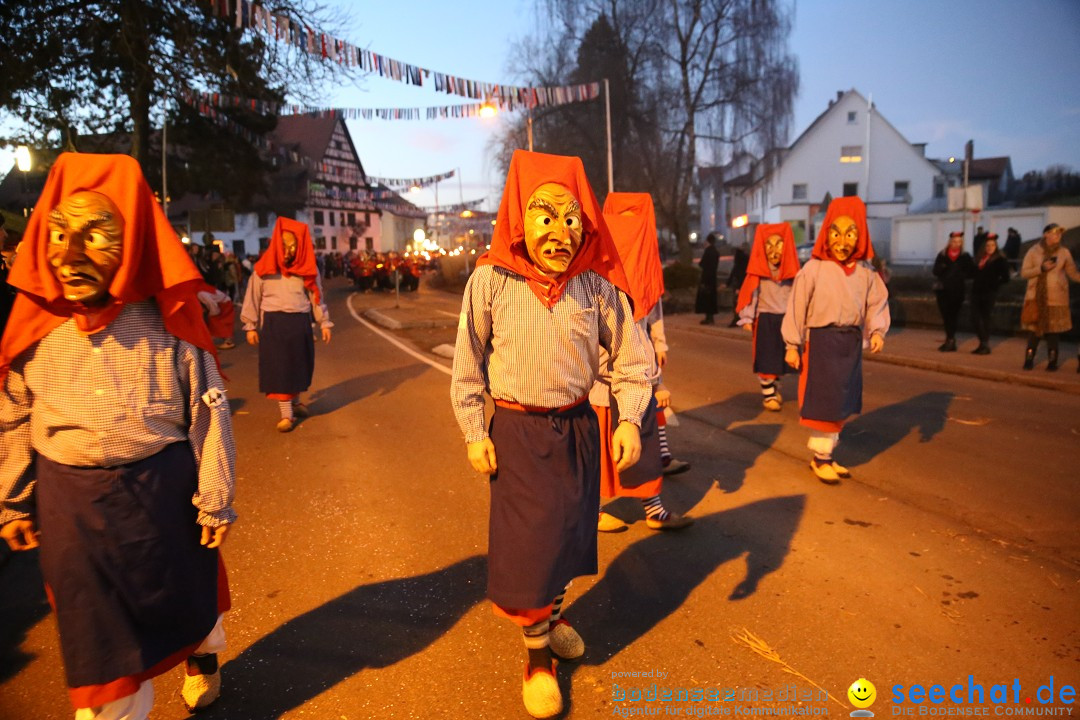 40 Jahre Urviecherzunft - Umzug: Bad Duerrheim, 16.02.2019