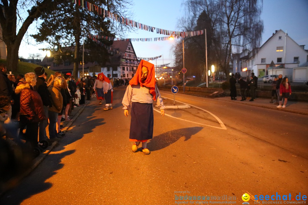 40 Jahre Urviecherzunft - Umzug: Bad Duerrheim, 16.02.2019