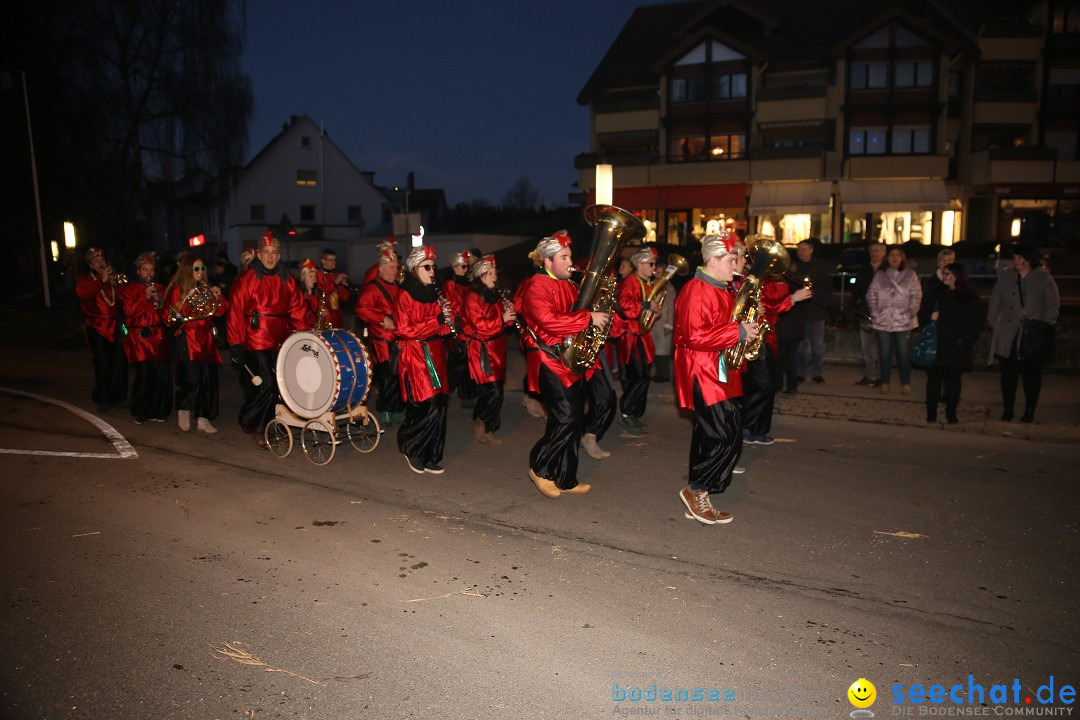 40 Jahre Urviecherzunft - Umzug: Bad Duerrheim, 16.02.2019