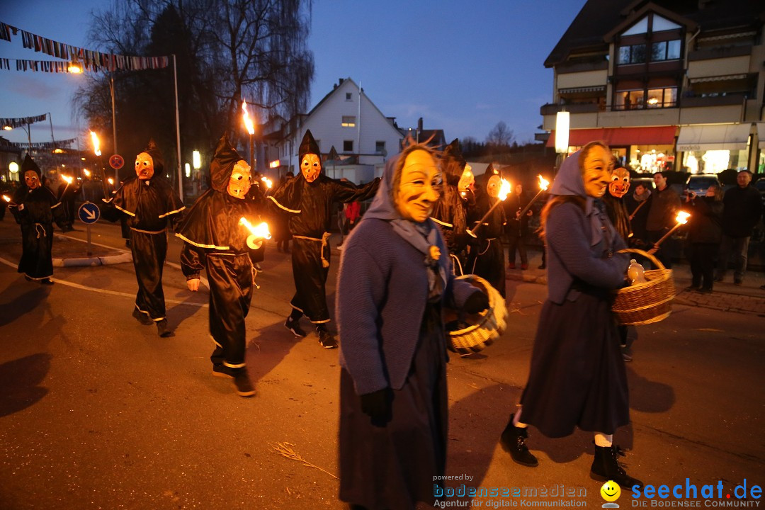 40 Jahre Urviecherzunft - Umzug: Bad Duerrheim, 16.02.2019