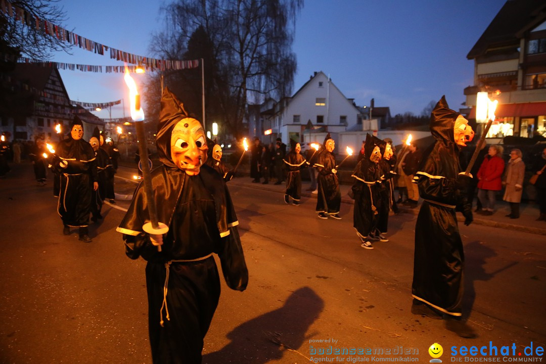 40 Jahre Urviecherzunft - Umzug: Bad Duerrheim, 16.02.2019