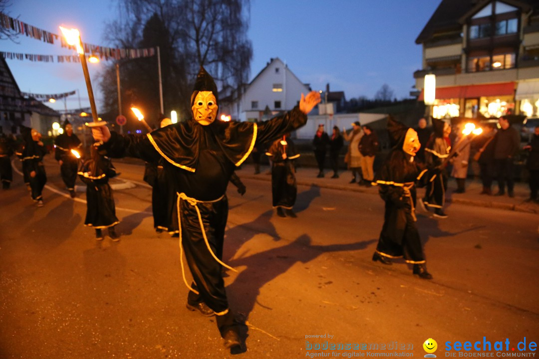 40 Jahre Urviecherzunft - Umzug: Bad Duerrheim, 16.02.2019