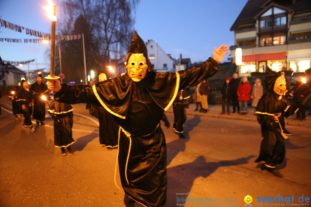 40 Jahre Urviecherzunft - Umzug: Bad Duerrheim, 16.02.2019