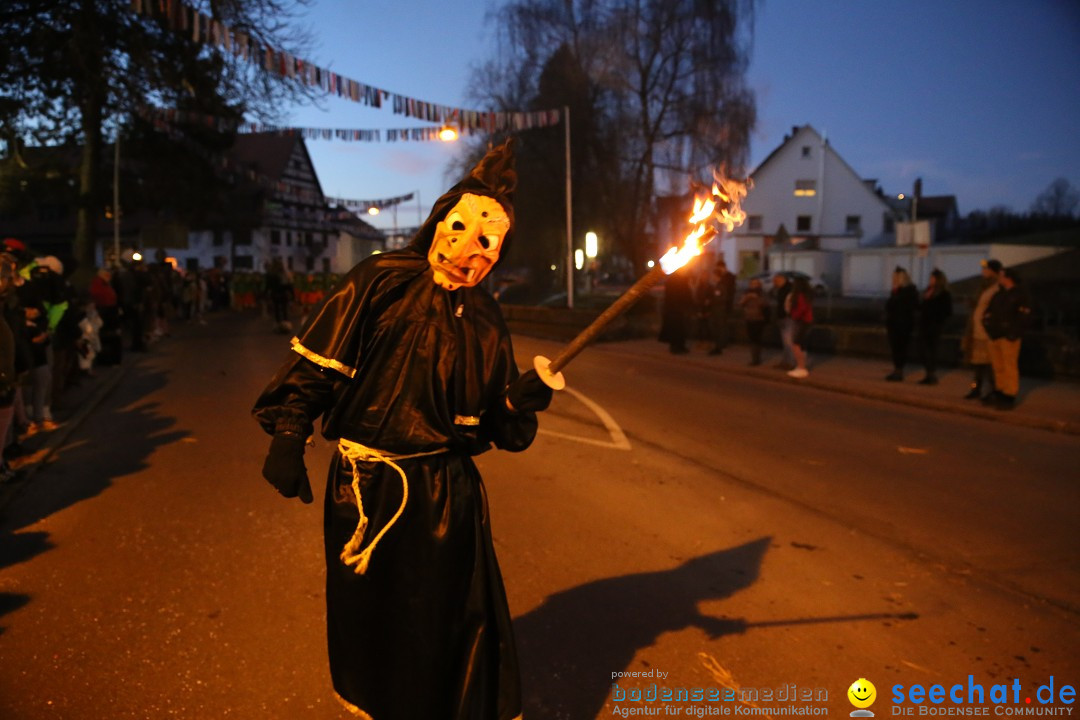 40 Jahre Urviecherzunft - Umzug: Bad Duerrheim, 16.02.2019