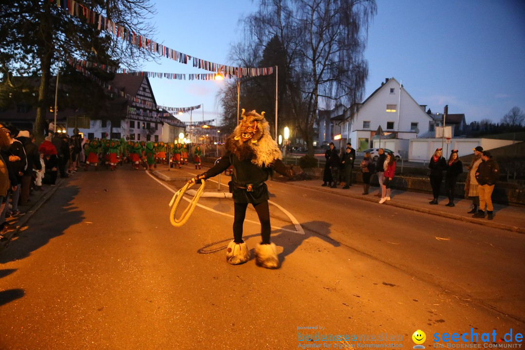 40 Jahre Urviecherzunft - Umzug: Bad Duerrheim, 16.02.2019