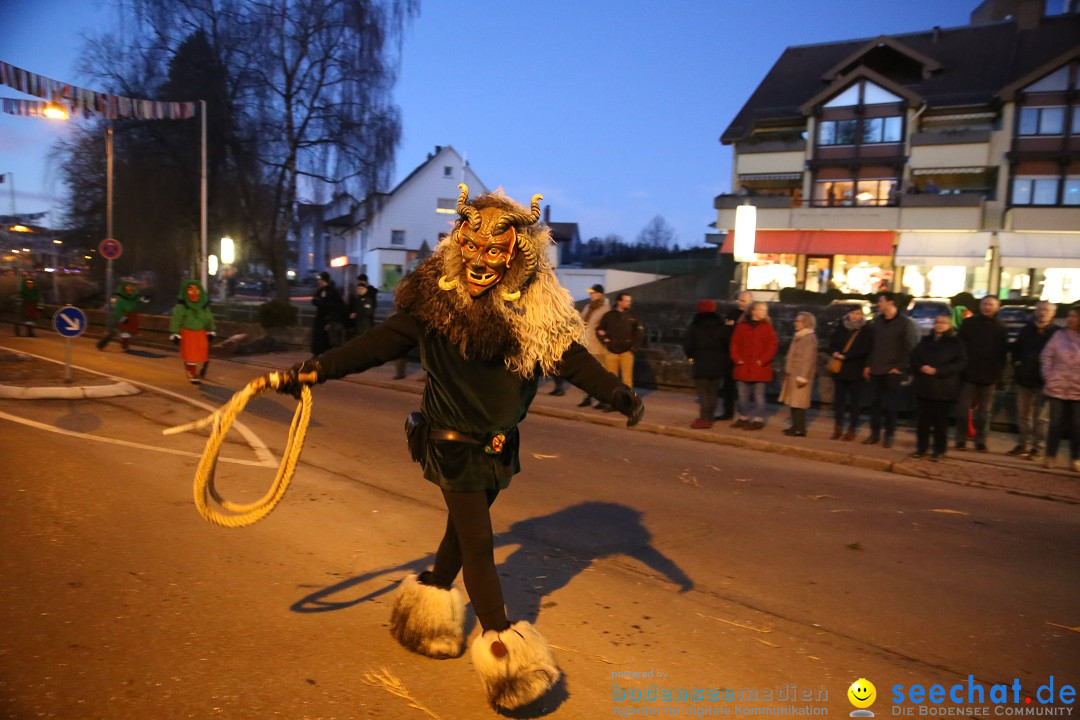 40 Jahre Urviecherzunft - Umzug: Bad Duerrheim, 16.02.2019