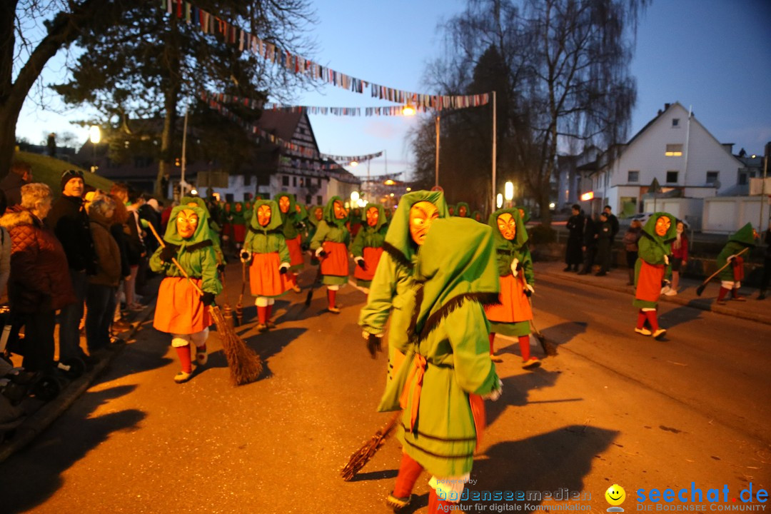 40 Jahre Urviecherzunft - Umzug: Bad Duerrheim, 16.02.2019