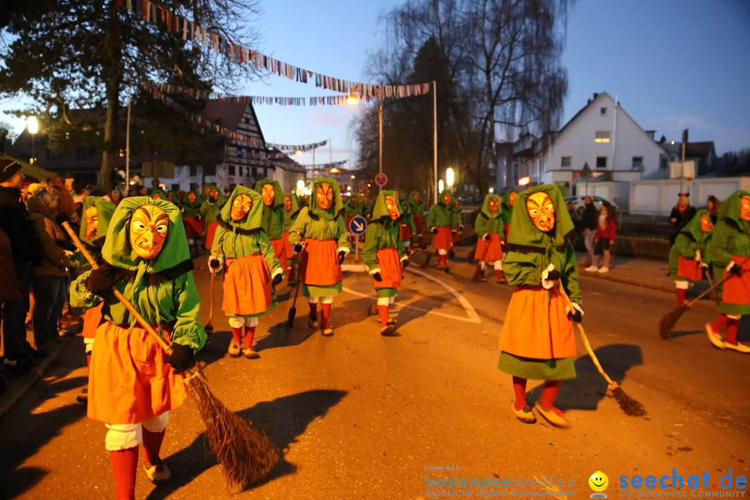 40 Jahre Urviecherzunft - Umzug: Bad Duerrheim, 16.02.2019