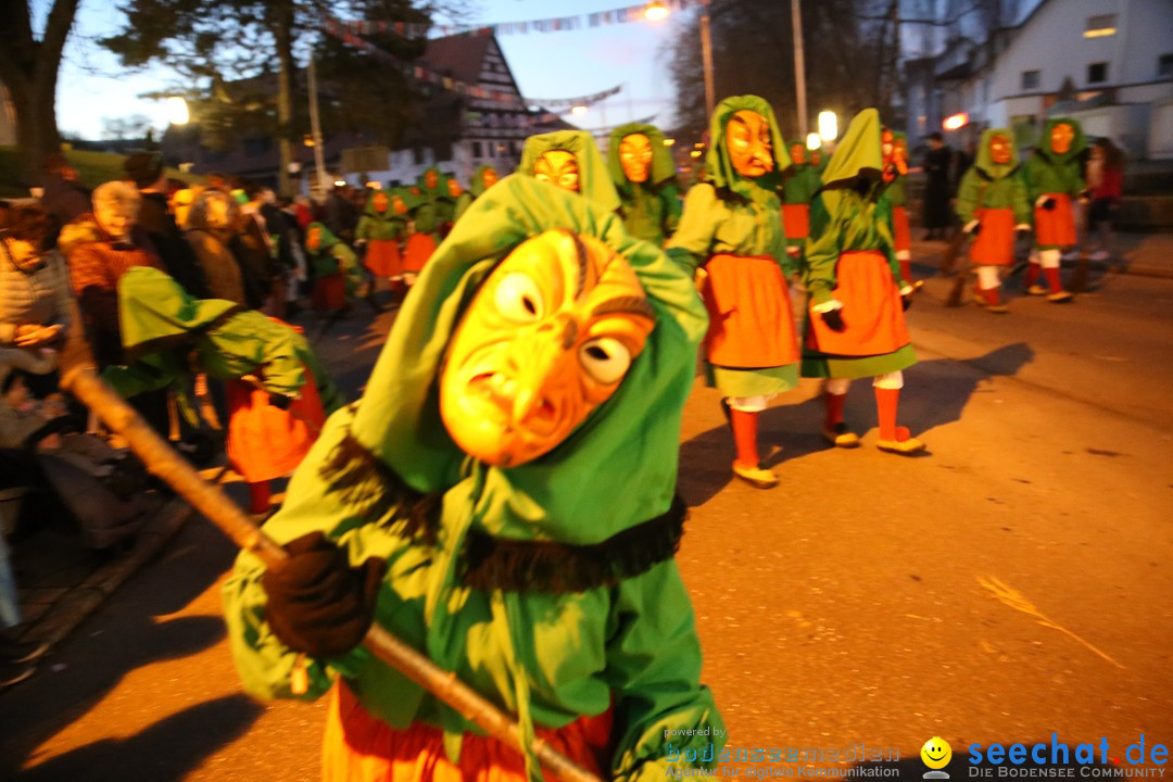 40 Jahre Urviecherzunft - Umzug: Bad Duerrheim, 16.02.2019