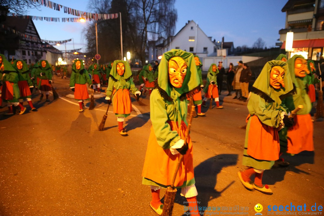 40 Jahre Urviecherzunft - Umzug: Bad Duerrheim, 16.02.2019