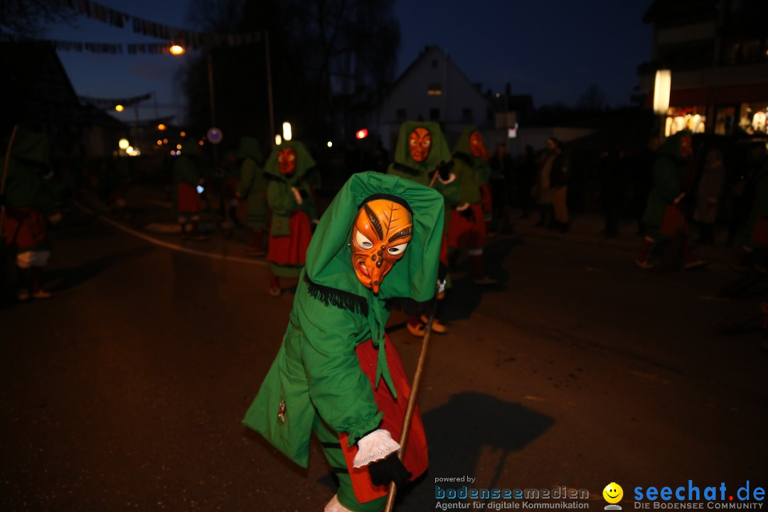 40 Jahre Urviecherzunft - Umzug: Bad Duerrheim, 16.02.2019