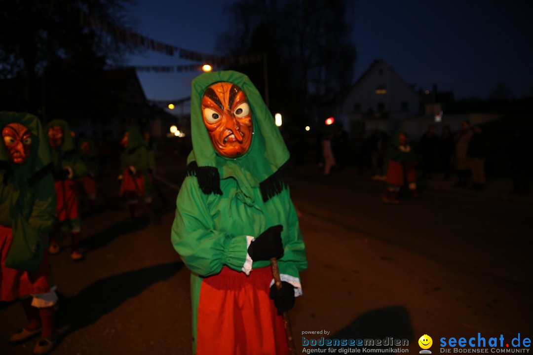 40 Jahre Urviecherzunft - Umzug: Bad Duerrheim, 16.02.2019