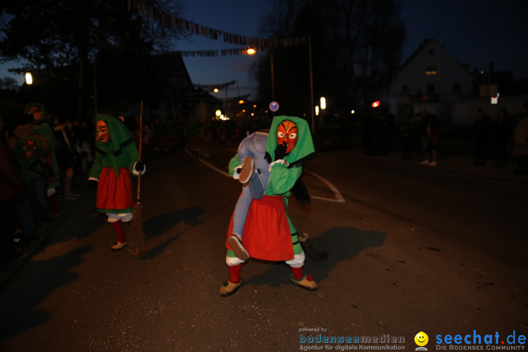 40 Jahre Urviecherzunft - Umzug: Bad Duerrheim, 16.02.2019