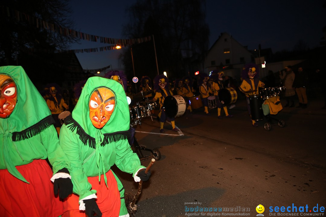 40 Jahre Urviecherzunft - Umzug: Bad Duerrheim, 16.02.2019