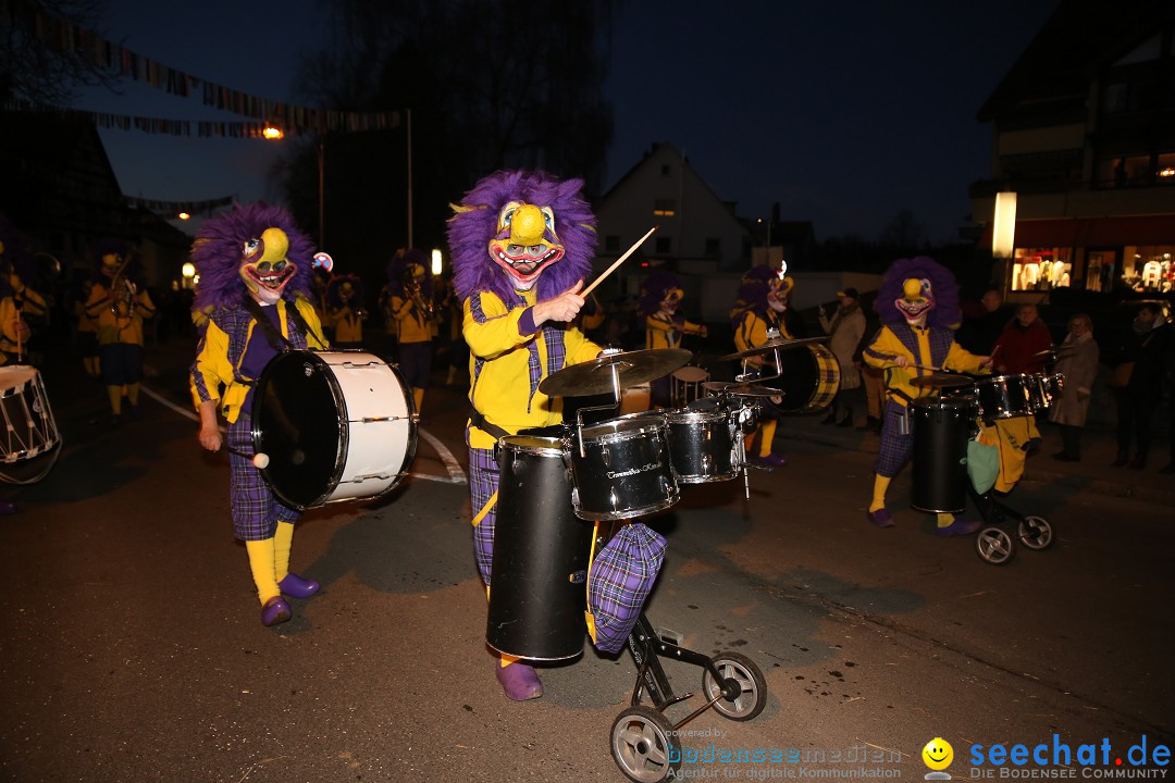 40 Jahre Urviecherzunft - Umzug: Bad Duerrheim, 16.02.2019