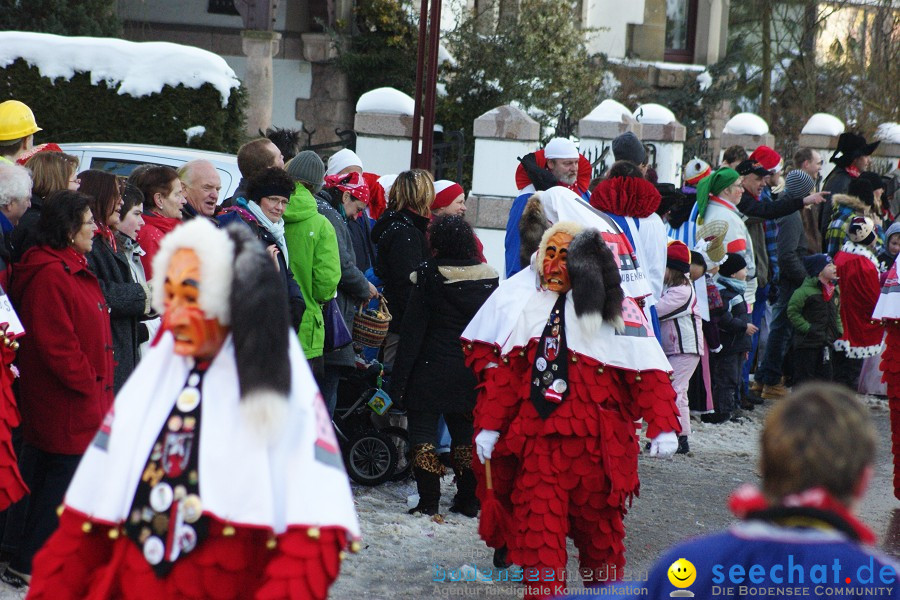 Narrenumzug: Villingen, 16.02.2010