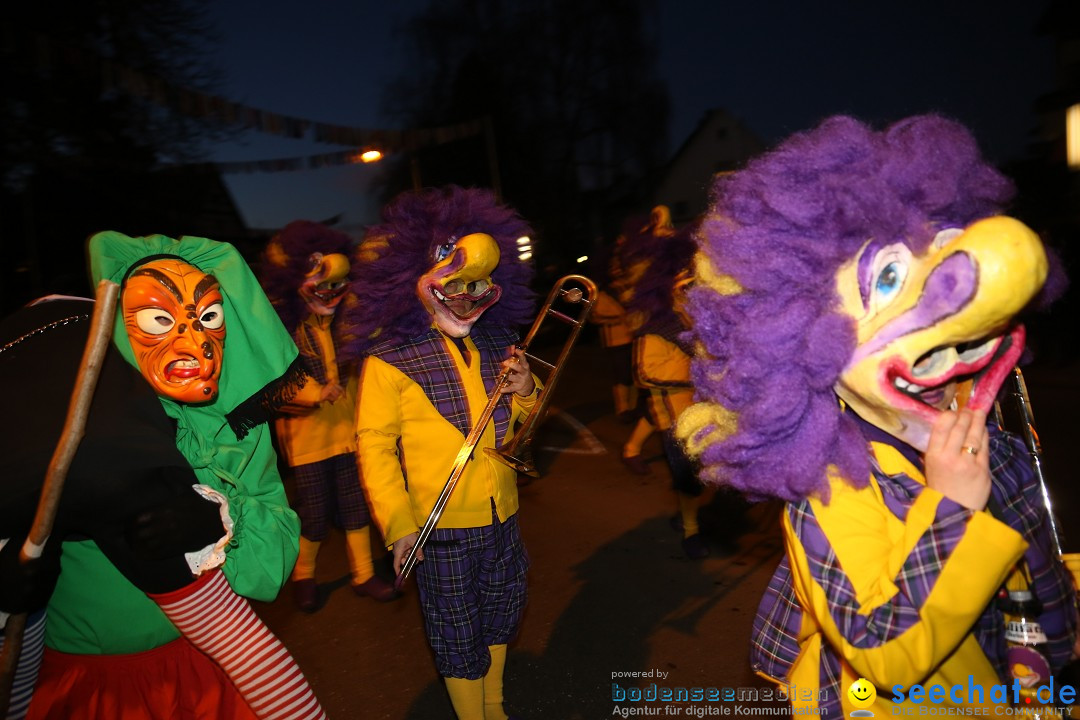 40 Jahre Urviecherzunft - Umzug: Bad Duerrheim, 16.02.2019