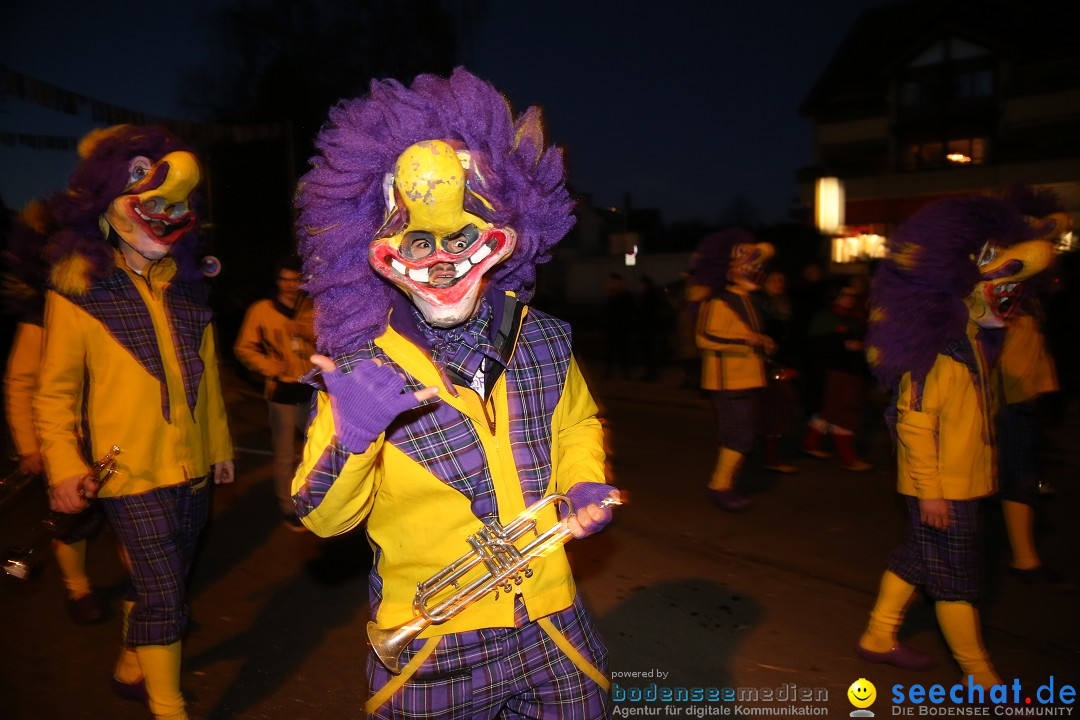 40 Jahre Urviecherzunft - Umzug: Bad Duerrheim, 16.02.2019