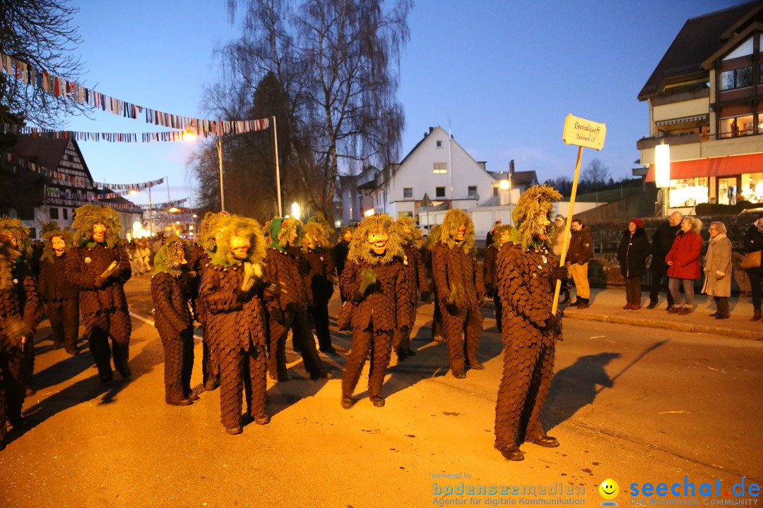 40 Jahre Urviecherzunft - Umzug: Bad Duerrheim, 16.02.2019