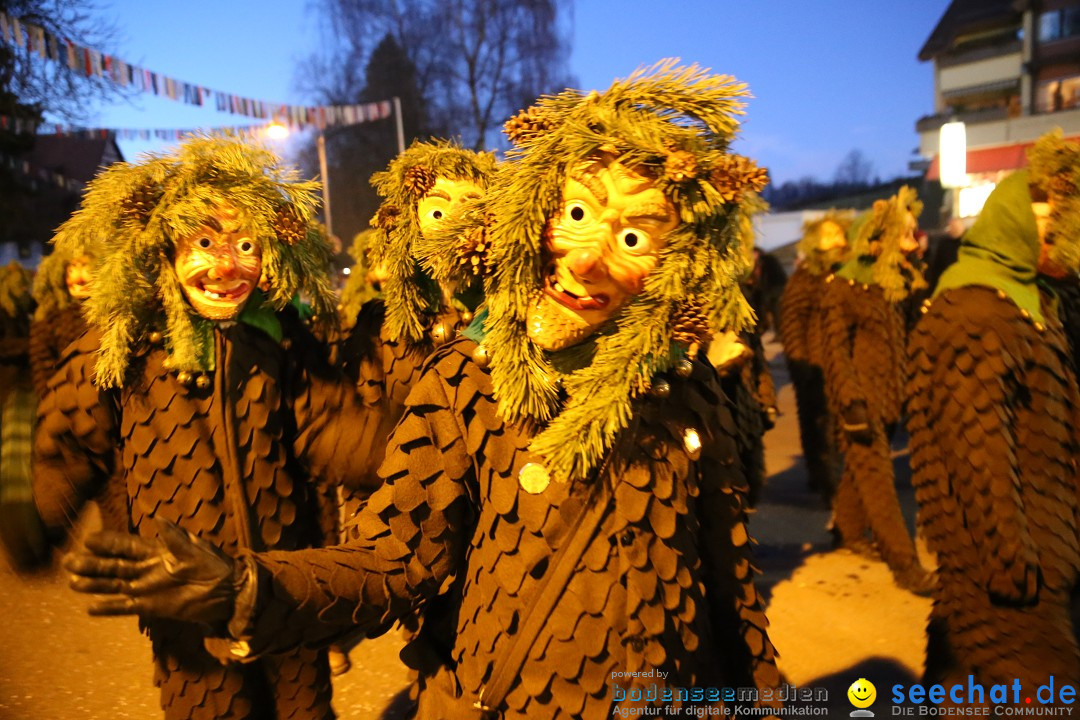 40 Jahre Urviecherzunft - Umzug: Bad Duerrheim, 16.02.2019