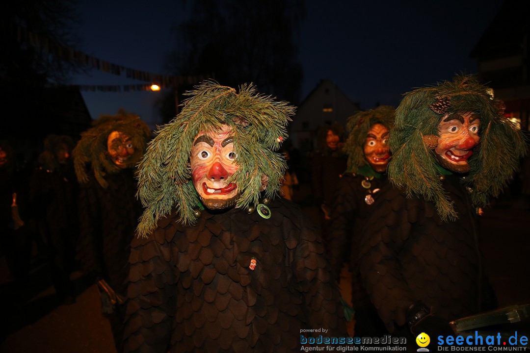 40 Jahre Urviecherzunft - Umzug: Bad Duerrheim, 16.02.2019