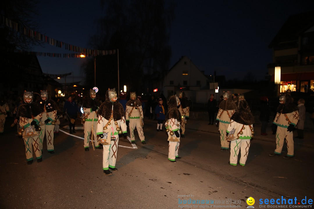 40 Jahre Urviecherzunft - Umzug: Bad Duerrheim, 16.02.2019