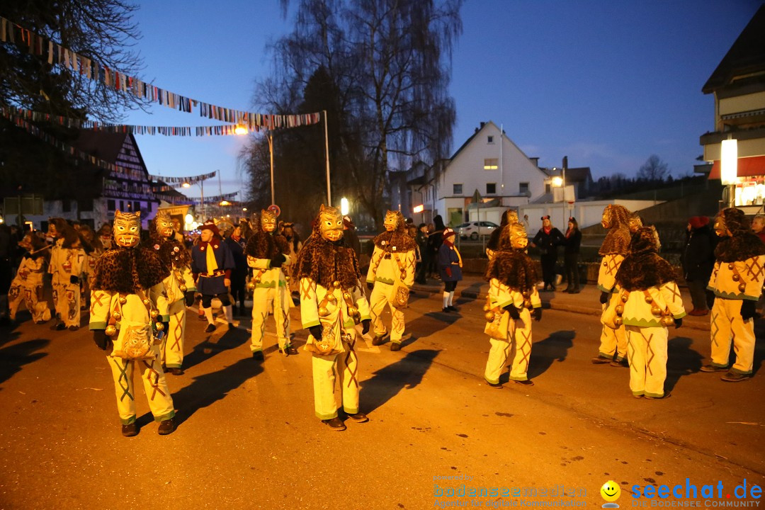 40 Jahre Urviecherzunft - Umzug: Bad Duerrheim, 16.02.2019