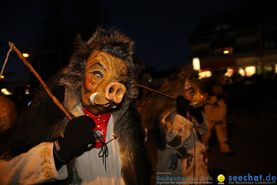 40 Jahre Urviecherzunft - Umzug: Bad Duerrheim, 16.02.2019