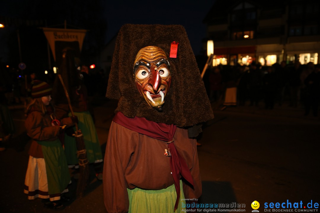 40 Jahre Urviecherzunft - Umzug: Bad Duerrheim, 16.02.2019