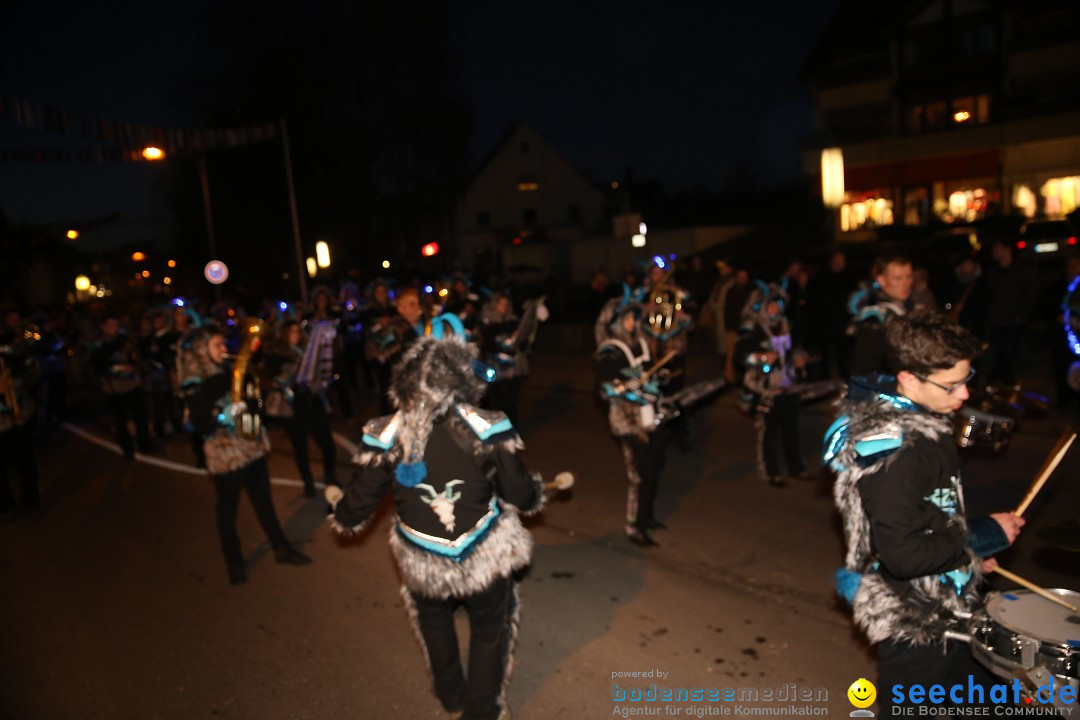 40 Jahre Urviecherzunft - Umzug: Bad Duerrheim, 16.02.2019