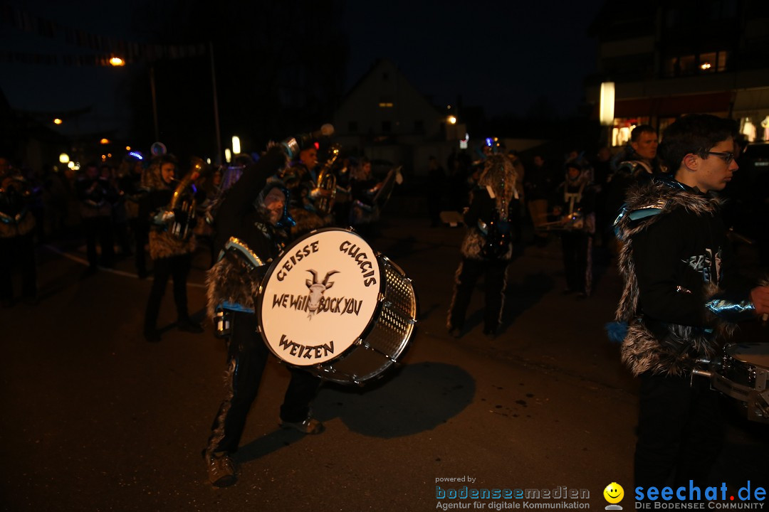 40 Jahre Urviecherzunft - Umzug: Bad Duerrheim, 16.02.2019