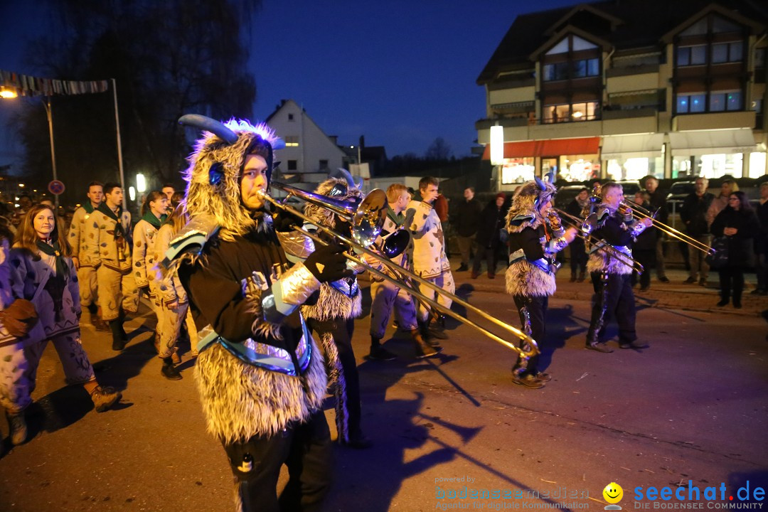 40 Jahre Urviecherzunft - Umzug: Bad Duerrheim, 16.02.2019