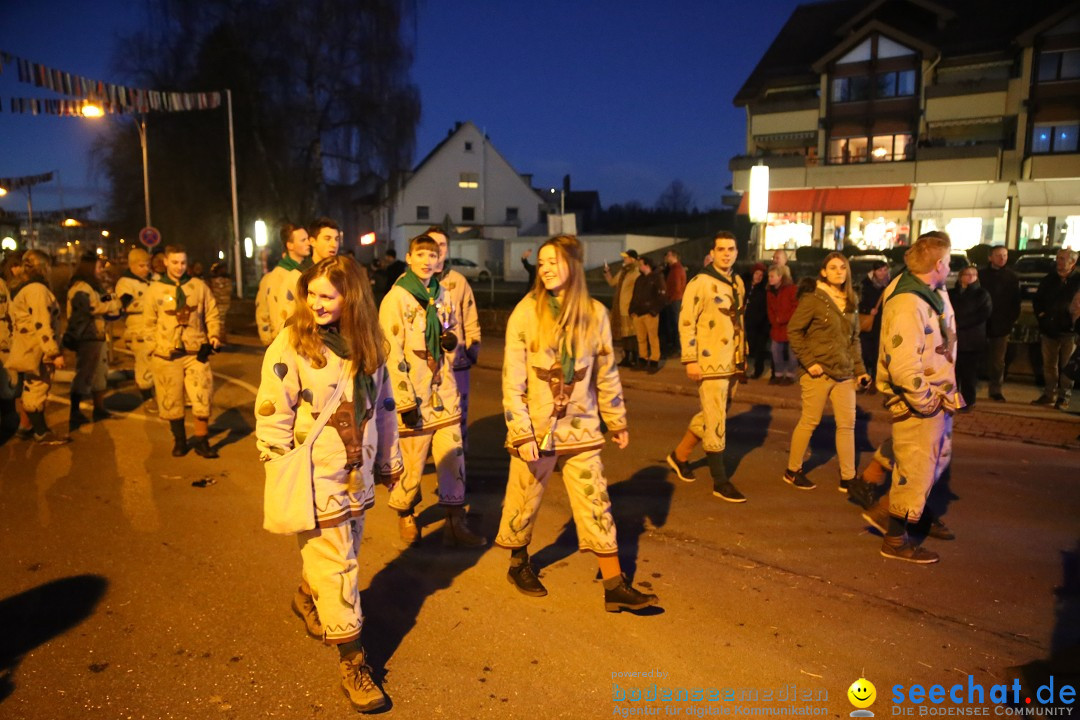 40 Jahre Urviecherzunft - Umzug: Bad Duerrheim, 16.02.2019