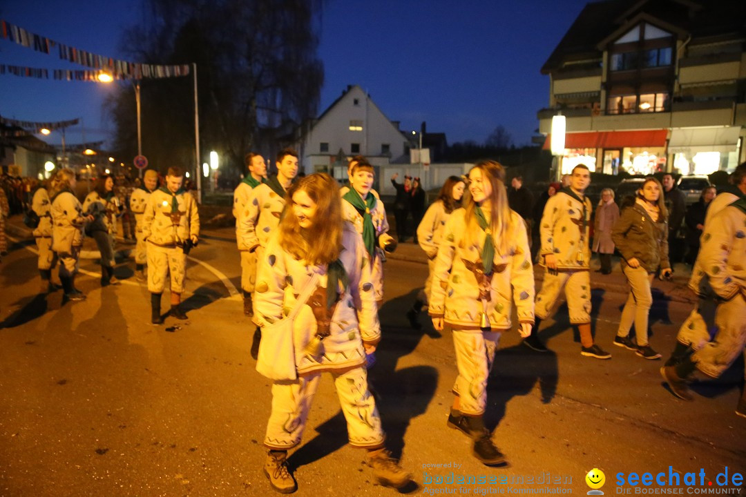 40 Jahre Urviecherzunft - Umzug: Bad Duerrheim, 16.02.2019