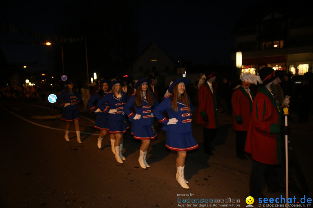 40 Jahre Urviecherzunft - Umzug: Bad Duerrheim, 16.02.2019