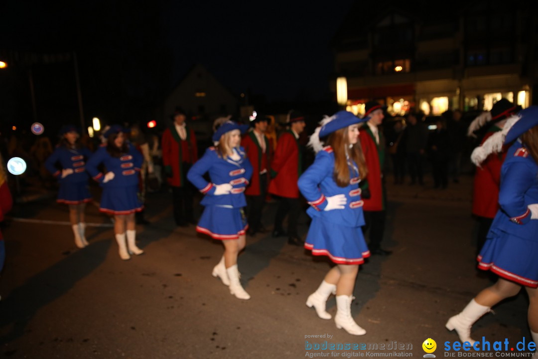 40 Jahre Urviecherzunft - Umzug: Bad Duerrheim, 16.02.2019