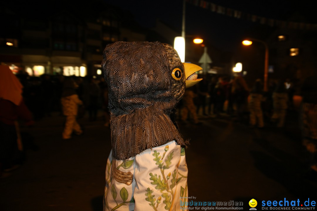 40 Jahre Urviecherzunft - Umzug: Bad Duerrheim, 16.02.2019