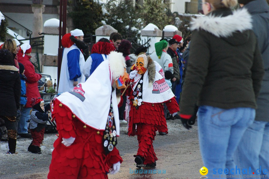 Narrenumzug: Villingen, 16.02.2010