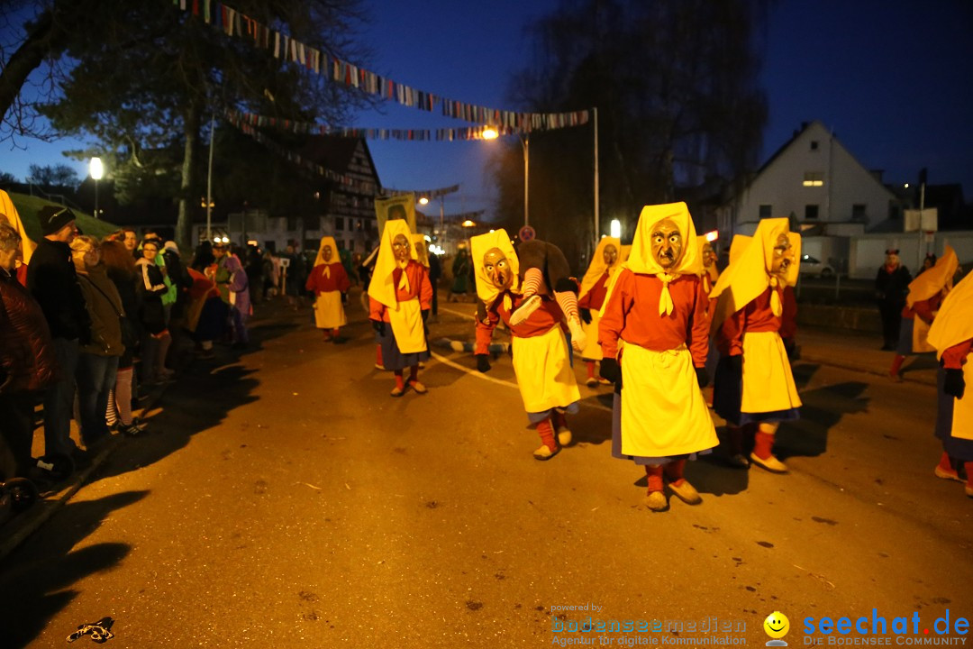 40 Jahre Urviecherzunft - Umzug: Bad Duerrheim, 16.02.2019