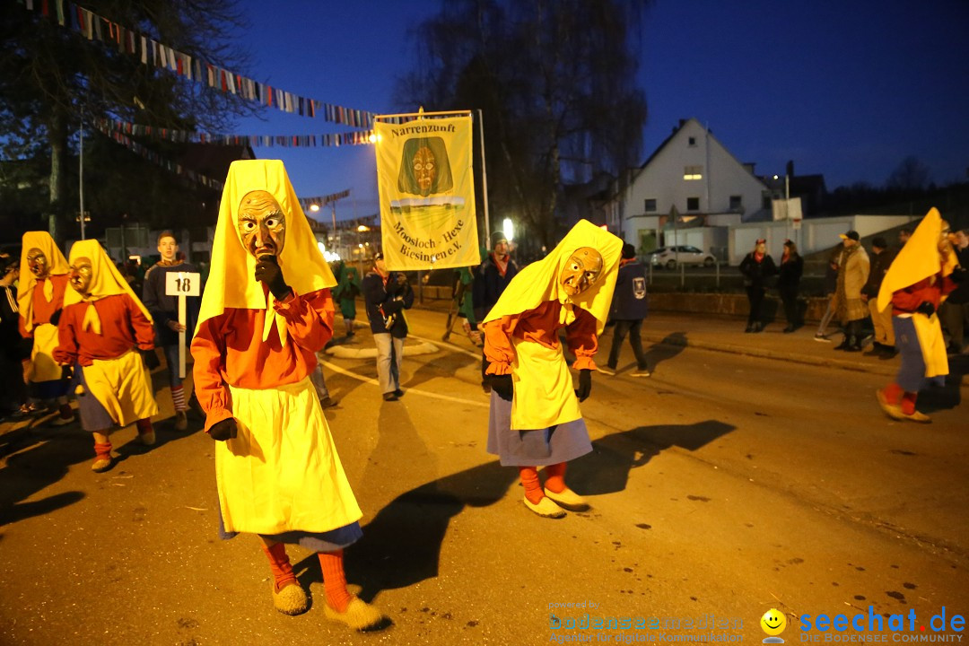 40 Jahre Urviecherzunft - Umzug: Bad Duerrheim, 16.02.2019