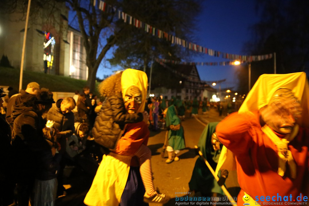 40 Jahre Urviecherzunft - Umzug: Bad Duerrheim, 16.02.2019